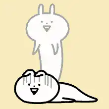 Happy white rabbit and cat
