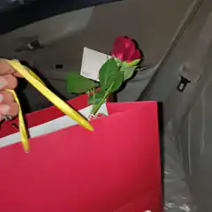 red gift bag with rose in car