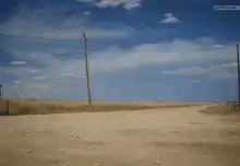 Tumbleweed rolling down a dirt road
