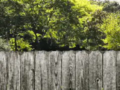 Woman with googly eyes pops up from behind fence