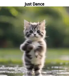 Just Dance kitten