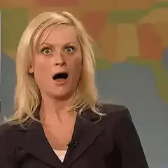 Amy Poehler shocked face