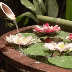 water pouring from bamboo into lotus pond