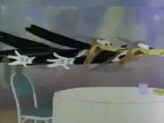 Wile E. Coyote and Road Runner crash through table
