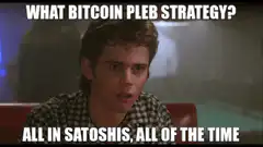 What Bitcoin Pleb Strategy