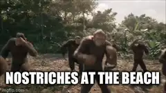 Dancing Apes Nostriches at the Beach