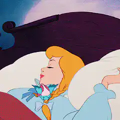 Aurora sleeping with birds