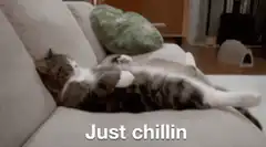 Cat Just Chillin on Couch
