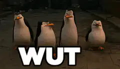 Penguins saying WUT