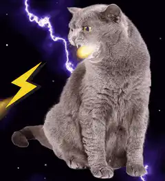 Cat eating lightning bolt