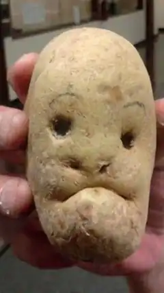 Sad potato face