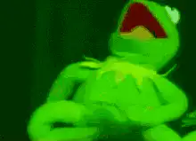 Kermit the Frog laughing hysterically