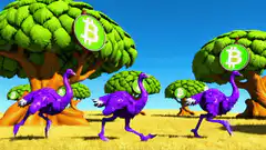 purple ostriches running past bitcoin trees