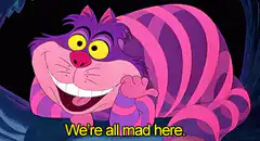 Cheshire Cat We're All Mad Here