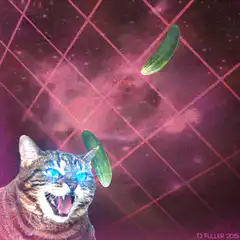 Cucumber laser cat