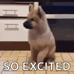 So Excited Dog Meme