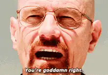 Walter White You're goddamn right