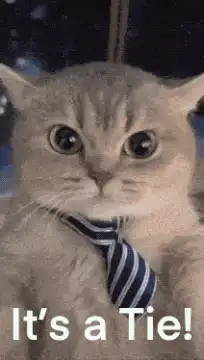 Cat wearing tie It's a Tie