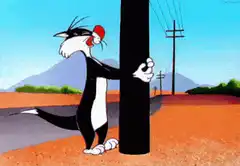 Sylvester the Cat Hugs a Telephone Pole