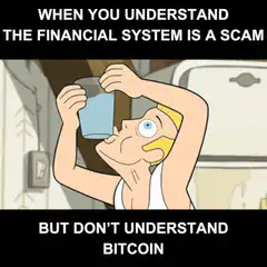 When You Understand The Financial System Is A Scam But Don't Understand Bitcoin