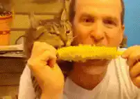 Man eating corn on the cob with cat on shoulder