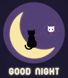black cat on moon good night