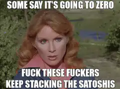 Some Say It's Going To Zero Keep Stacking The Satoshis