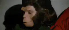 Planet of the Apes monkey suspicious look