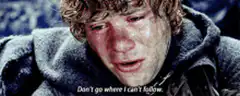 Samwise crying Don't go where I can't follow