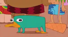 Perry the Platypus looking nervous