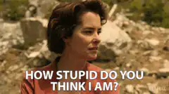 How stupid do you think I am?
