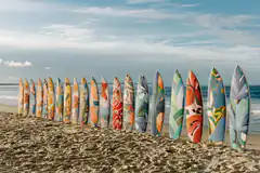Colorful surfboards on the beach
