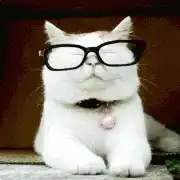cat takes off glasses