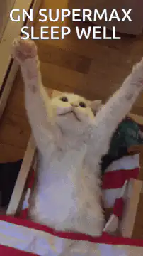 Cat stretching in bed with text