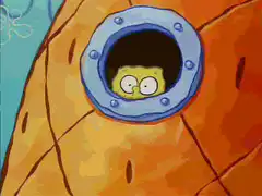 SpongeBob ducks down in his pineapple