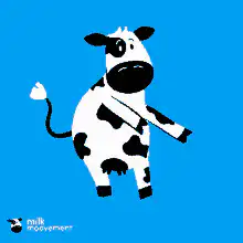 Cow dancing on blue background