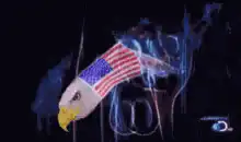 American flag eagle smoking