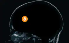 Bitcoin bouncing inside a head