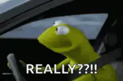 Kermit the Frog Really