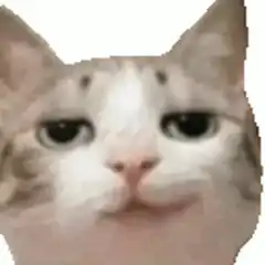 Sad Cat Face