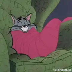 Tom Cat Sleeping in Bed