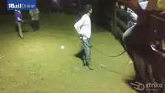 Man kicks horse head with glowing purple eyes