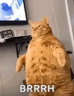 Orange cat sitting like a human with BRRRH text