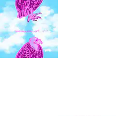Two pink vultures in the sky