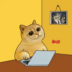 Cheems cat typing on laptop