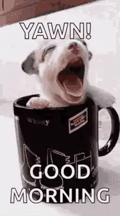 Puppy yawning in a mug