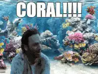 Coral!!!!