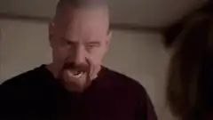 Walter White I Am The Danger