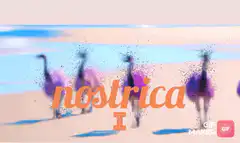 ostrica I GIF