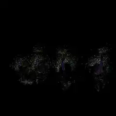 ostrica I pixel art animation
